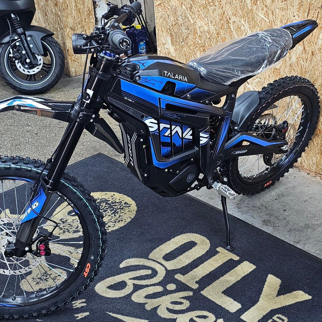 Electric Bikes for Adults