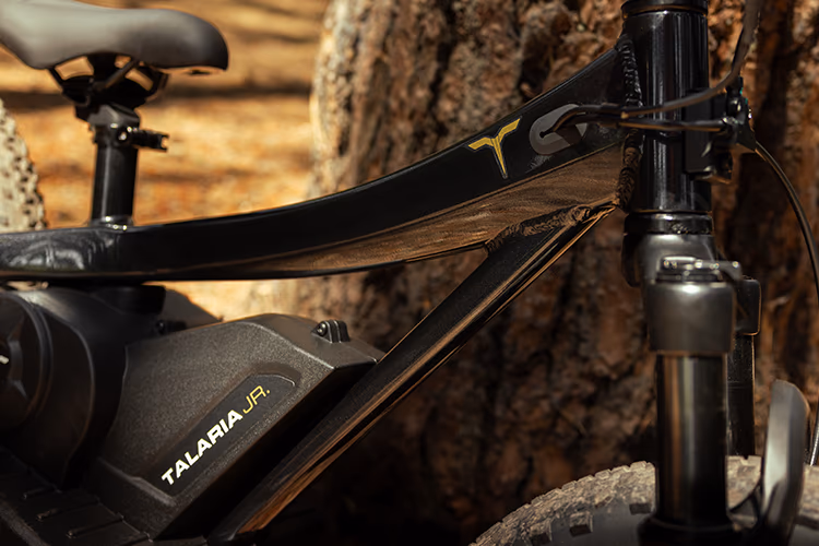 https://talaria-ebikes.us/wp-content/uploads/2026/09/imgi_9_jr-16-7.CBMD8vsb_bYdko.avif